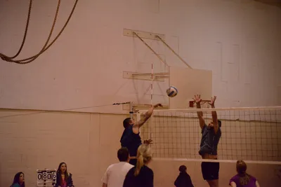 DSC_1705 (Large).JPG